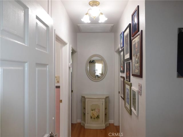 7106 Elmwood Rd, San Bernardino, CA 92404 - hallway featuring light wood-type flooring