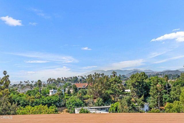5870 Benner St Unit 102, Los Angeles, CA 90042 - view of mountain background