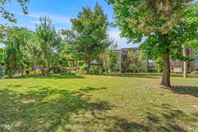 5870 Benner St Unit 102, Los Angeles, CA 90042 - view of grassy yard