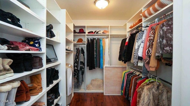 1239 Bayside Ln, Oxnard, CA 93035 - spacious closet with wood finished floors
