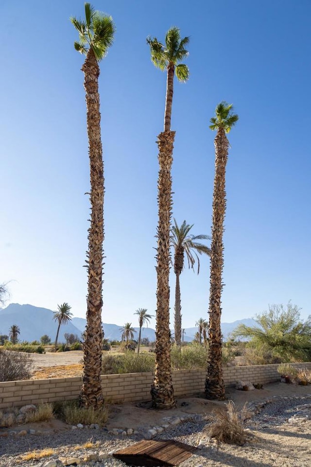 2954 Foursome Dr, Borrego Springs, CA 92004 - photo 12