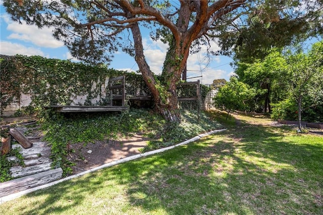 1345 W Valley View Dr, Fullerton, CA 92833 - view of green lawn