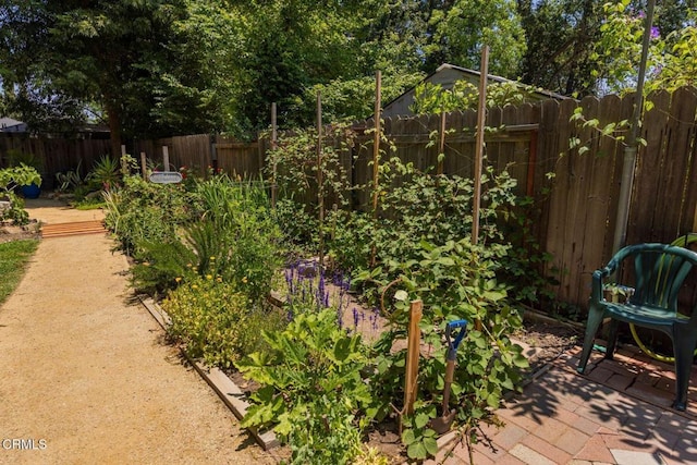 216 N Fulton St, Ojai, CA 93023 - view of fenced backyard