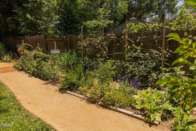 216 N Fulton St, Ojai, CA 93023 - view of yard