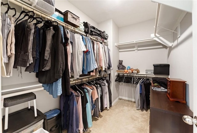 16502 Casa Grande Ave Unit 318, Fontana, CA 92336 - spacious closet with carpet