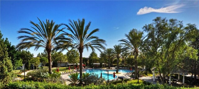 6 Rickie, Ladera Ranch, CA 92694 - community pool with a gazebo