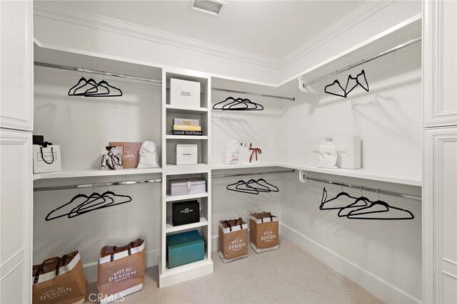 6 Rickie, Ladera Ranch, CA 92694 - walk in closet with carpet flooring
