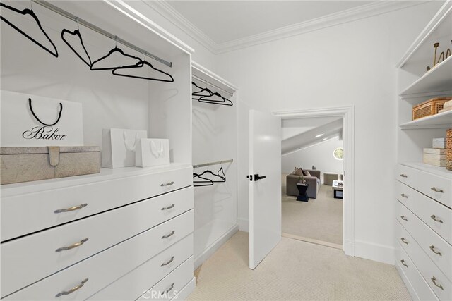6 Rickie, Ladera Ranch, CA 92694 - spacious closet featuring light colored carpet