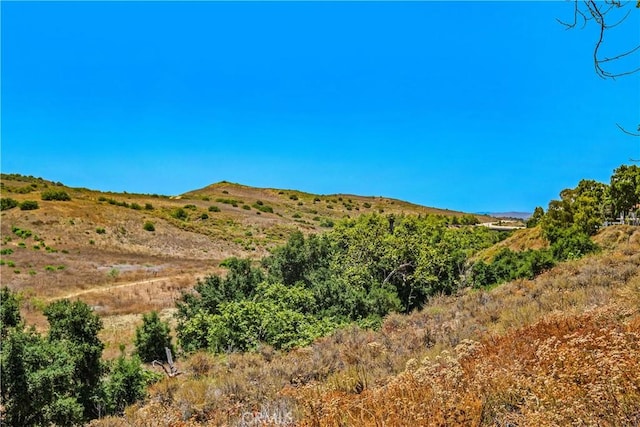 61 Pomelo, Rancho Santa Margarita, CA 92688 - photo 41