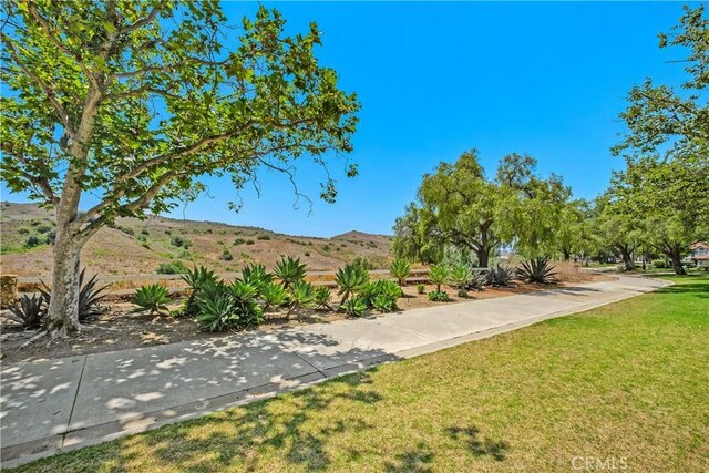 61 Pomelo, Rancho Santa Margarita, CA 92688 - photo 39