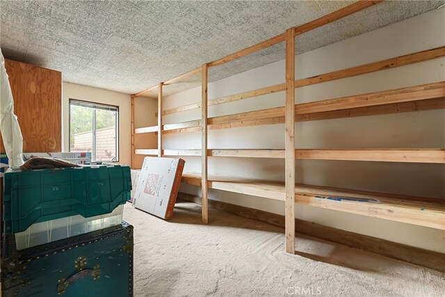 27439 Santa Clarita Rd, Saugus, CA 91350 - view of storage room