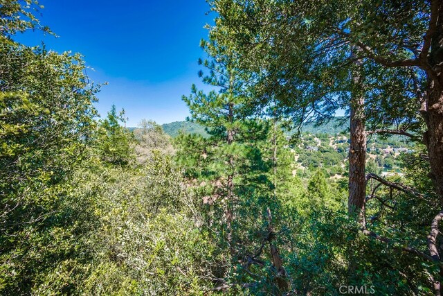 163 Wylerhorn Dr, Crestline, CA 92325 - view of wooded area
