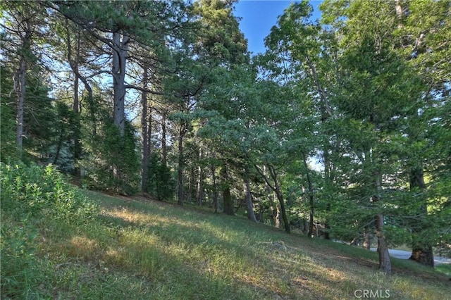 21764 Peak Cir S, Cedarpines Park, CA 92322