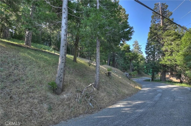 21764 Peak Cir S, Cedarpines Park, CA 92322