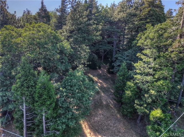 21764 Peak Cir S, Cedarpines Park, CA 92322