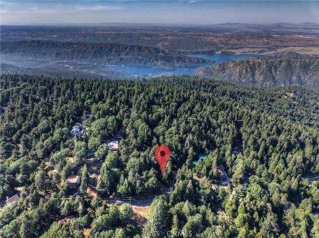 21764 Peak Cir S, Cedarpines Park, CA 92322