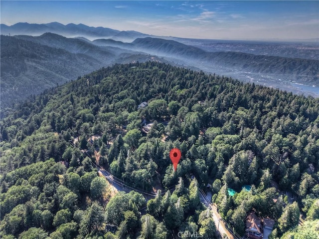 21764 Peak Cir S, Cedarpines Park, CA 92322