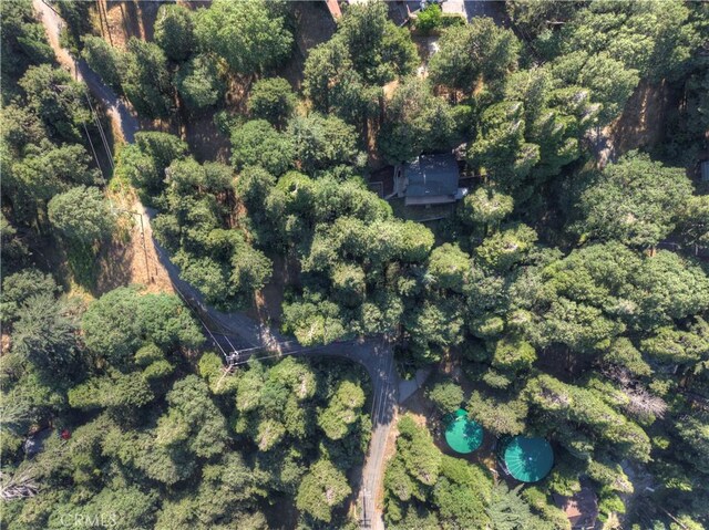 21764 Peak Cir S, Cedarpines Park, CA 92322