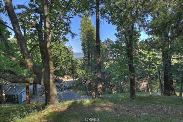 21764 Peak Cir S, Cedarpines Park, CA 92322