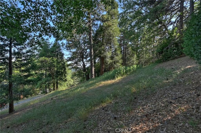 21764 Peak Cir S, Cedarpines Park, CA 92322