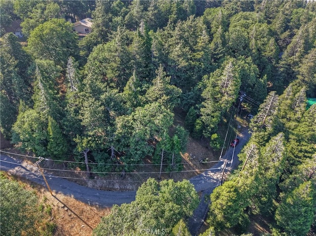 21764 Peak Cir S, Cedarpines Park, CA 92322