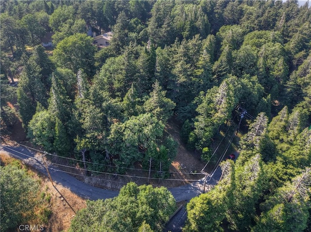 21764 Peak Cir S, Cedarpines Park, CA 92322