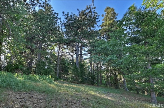 21764 Peak Cir S, Cedarpines Park, CA 92322