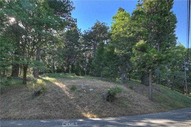 21764 Peak Cir S, Cedarpines Park, CA 92322