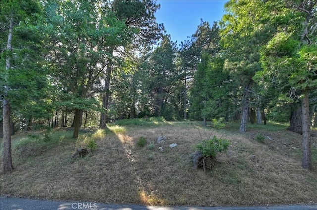21764 Peak Cir S, Cedarpines Park, CA 92322