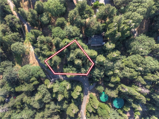 21764 Peak Cir S, Cedarpines Park, CA 92322