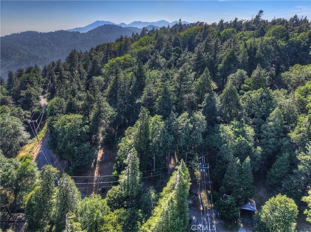21764 Peak Cir S, Cedarpines Park, CA 92322