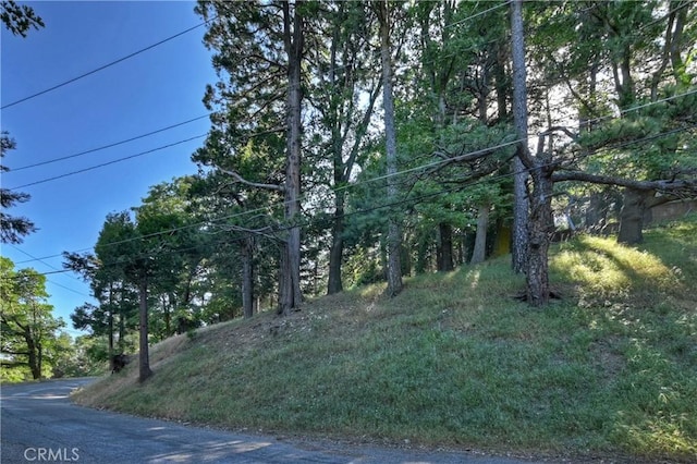 21764 Peak Cir S, Cedarpines Park, CA 92322