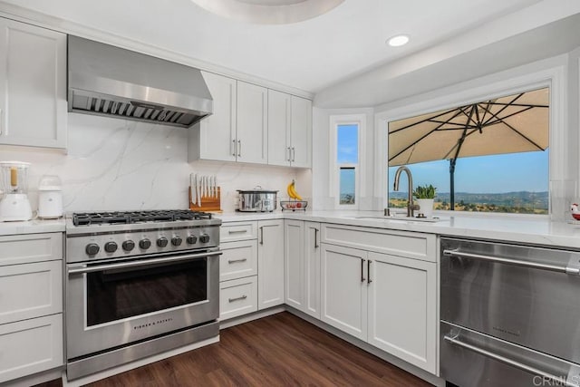 13655 Quinton Rd, San Diego, CA 92129 - kitchen with stainless steel appliances, wall chimney range hood, light countertops, white cabinets, and dark wood-type flooring