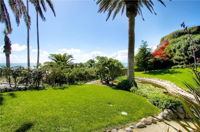 233 Calle Campesino, San Clemente, CA 92672 - photo 45