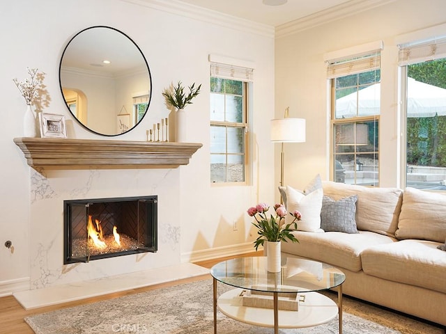 29 Via Timon, San Clemente, CA 92673 - living room featuring wood finished floors, a fireplace, and ornamental molding