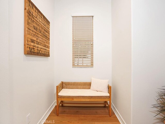 29 Via Timon, San Clemente, CA 92673 - living area featuring light wood-type flooring and baseboards