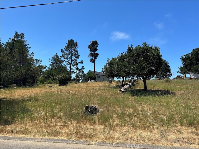 0 Pineridge Dr, Cambria, CA 93428 - photo 7