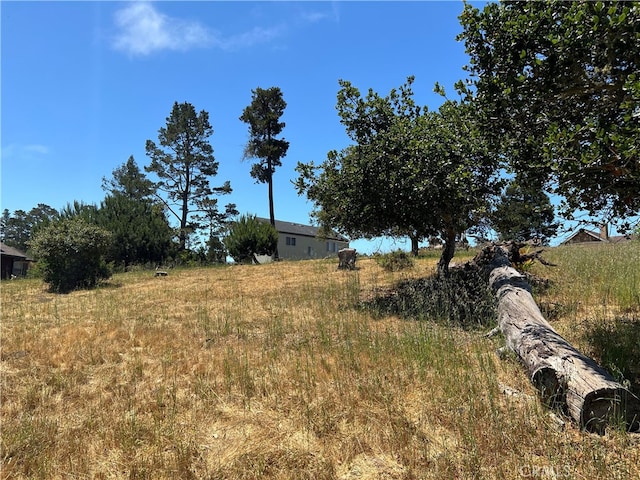 0 Pineridge Dr, Cambria, CA 93428 - photo 8