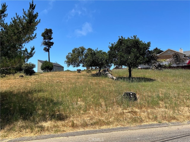 0 Pineridge Dr, Cambria, CA 93428 - photo 6