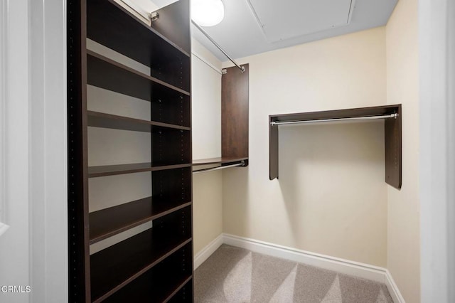 4424 Whitsett Ave Unit 102, Studio City, CA 91604 - walk in closet with carpet flooring and attic access