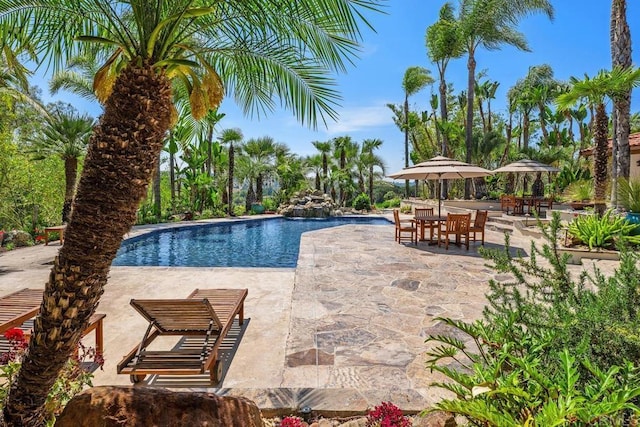 9 Rolling View Ln, Fallbrook, CA 92028 - swimming pool with a patio