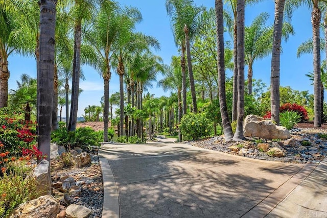 9 Rolling View Ln, Fallbrook, CA 92028 - view of concrete road
