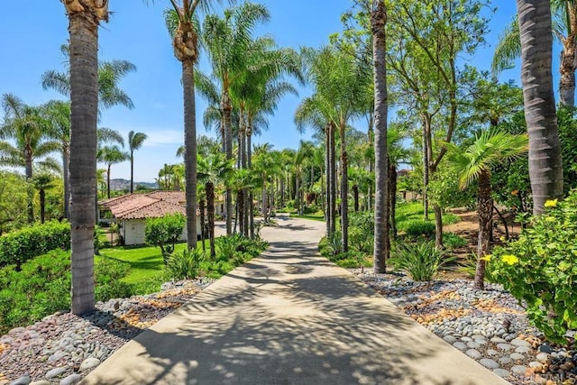 9 Rolling View Ln, Fallbrook, CA 92028 - surrounding community