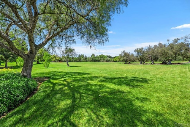 9 Rolling View Ln, Fallbrook, CA 92028 - view of green lawn