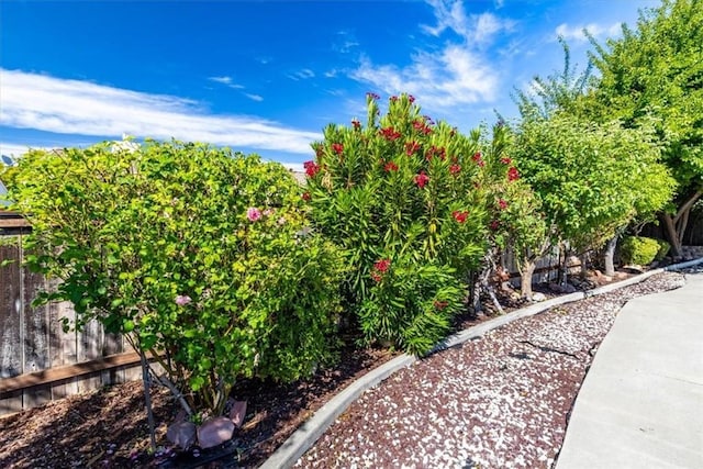 6195 Via Huerto Ct, Atascadero, CA 93422 - view of yard