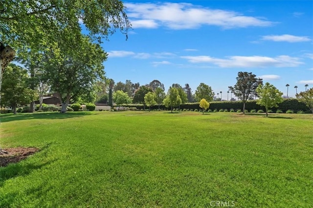 2829 Irving St, Riverside, CA 92504 - view of home's community with a yard