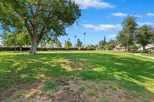 2829 Irving St, Riverside, CA 92504 - view of grassy yard