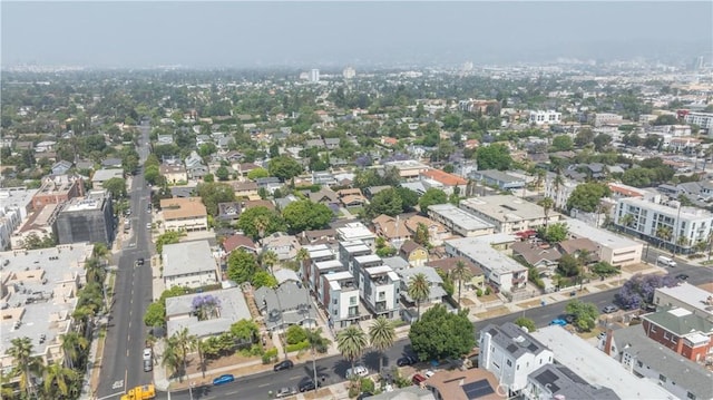 1131/2 N Manhattan Pl, Los Angeles, CA 90004 - photo 50