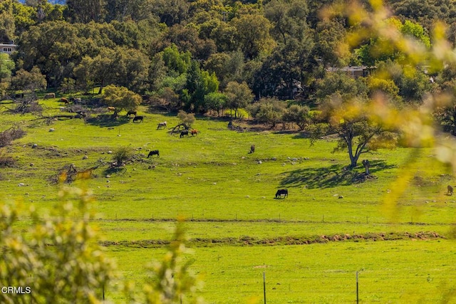 705 Alomar St, Ojai, CA 93023 - view of property's community with a rural view
