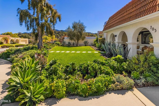 705 Alomar St, Ojai, CA 93023 - view of green lawn
